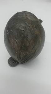 12088413_10153028806727373_3990604115926641389_n