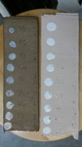 12219463_10153089055957373_5986764293815362922_n